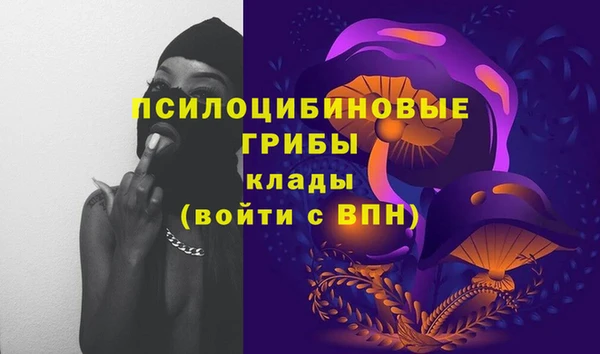 крисы Бронницы