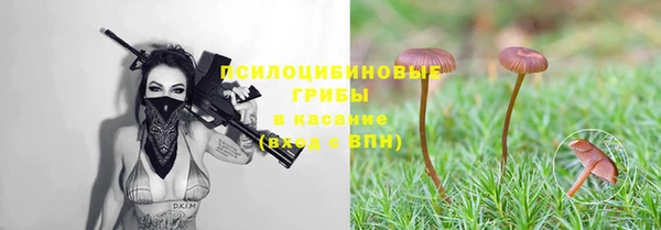 крисы Бронницы