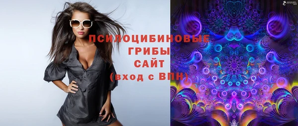 герыч Бородино